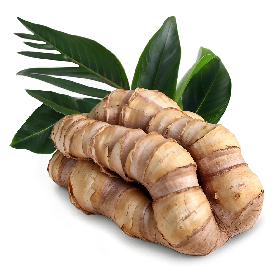 Exotic Ginger Root Png 06202024