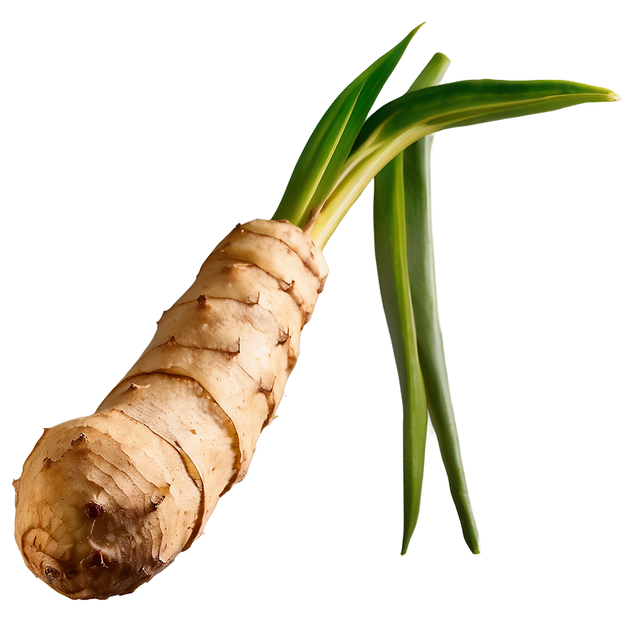 Exotic Ginger Root Png Rqc