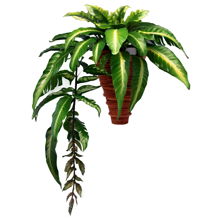 Exotic Hanging Plant Png Xoy84