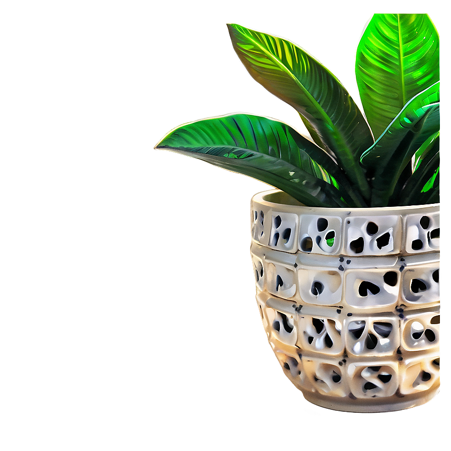 Exotic Houseplant Png Uxe