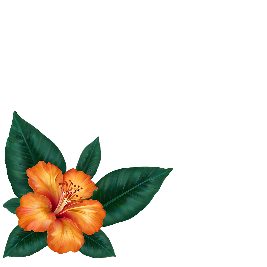 Exotic Orange Floral Png Pxl