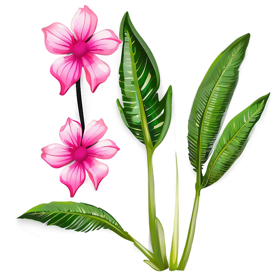 Exotic Pink Flower Illustration Png Krb34