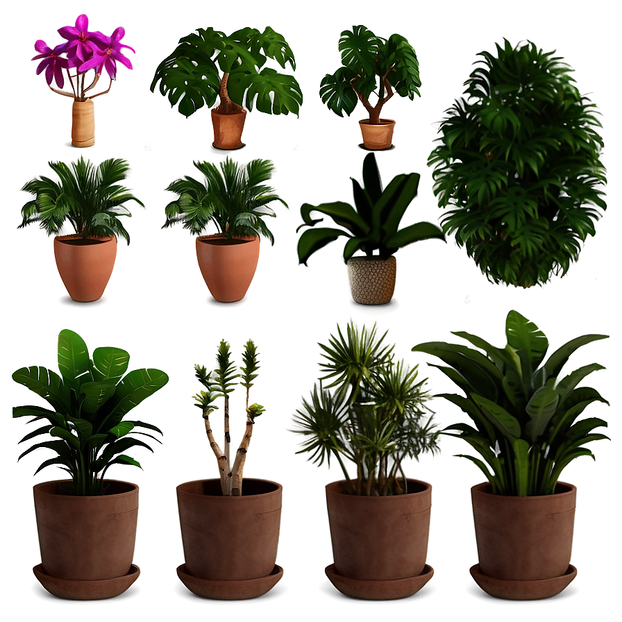 Exotic Potted Plants Collection Png 06122024