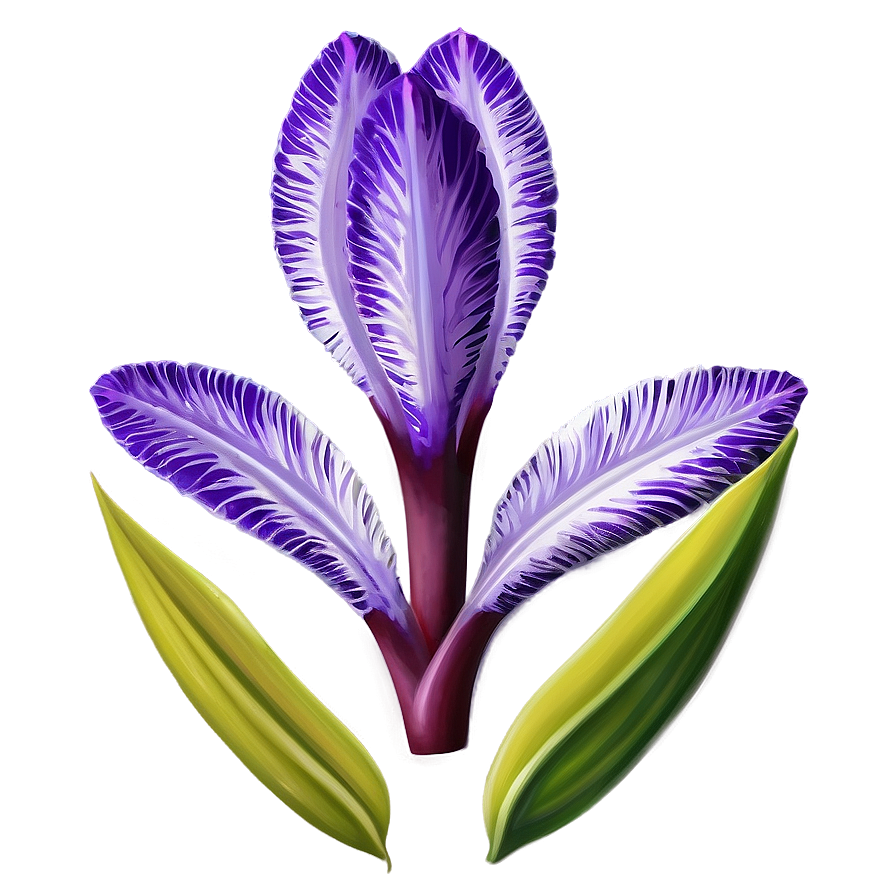 Exotic Purple Bloom Png 23