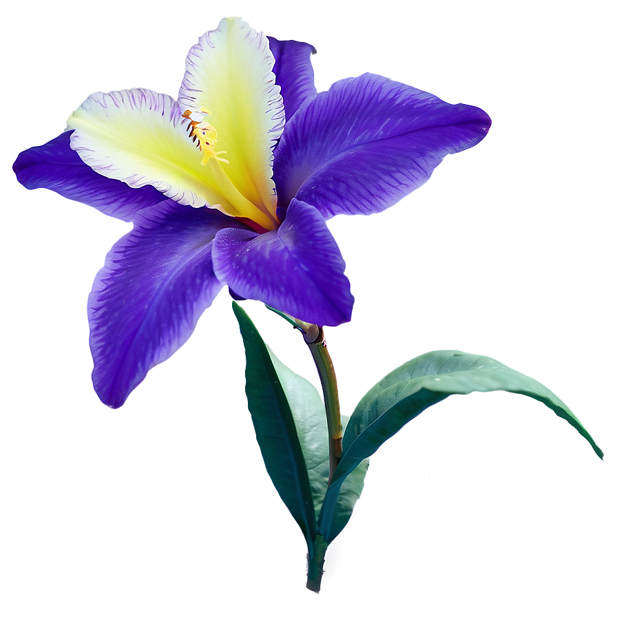 Exotic Purple Bloom Png Yel