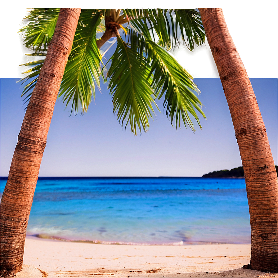 Exotic Tropical Beach Png 77