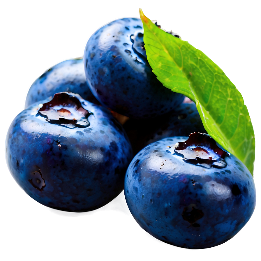 Exquisite Blueberry Display Png 96