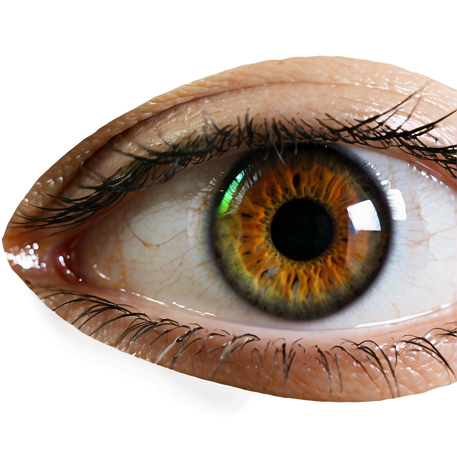 Eye Contact Lens Transparent Png Kkd53