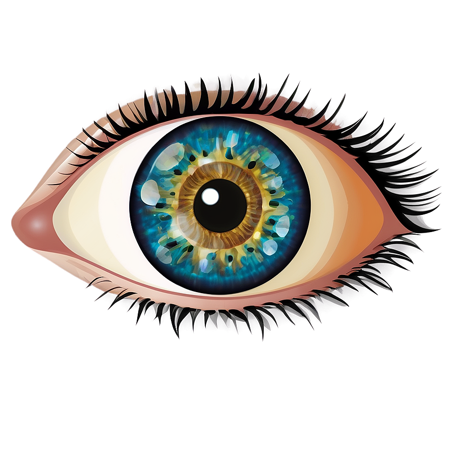 Eye Illustration Transparent Png 05262024