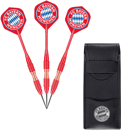 F C Bayern Branded Dartsand Case