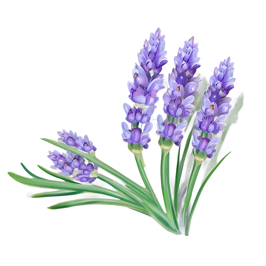 Fairy Tale Lavender Png 3