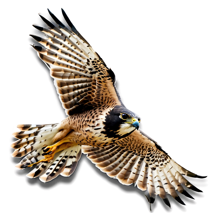 Falcon In Flight Png Iwk1