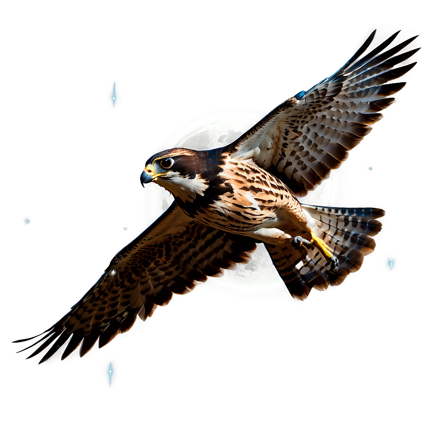 Falcon In Moonlight Png Fda89