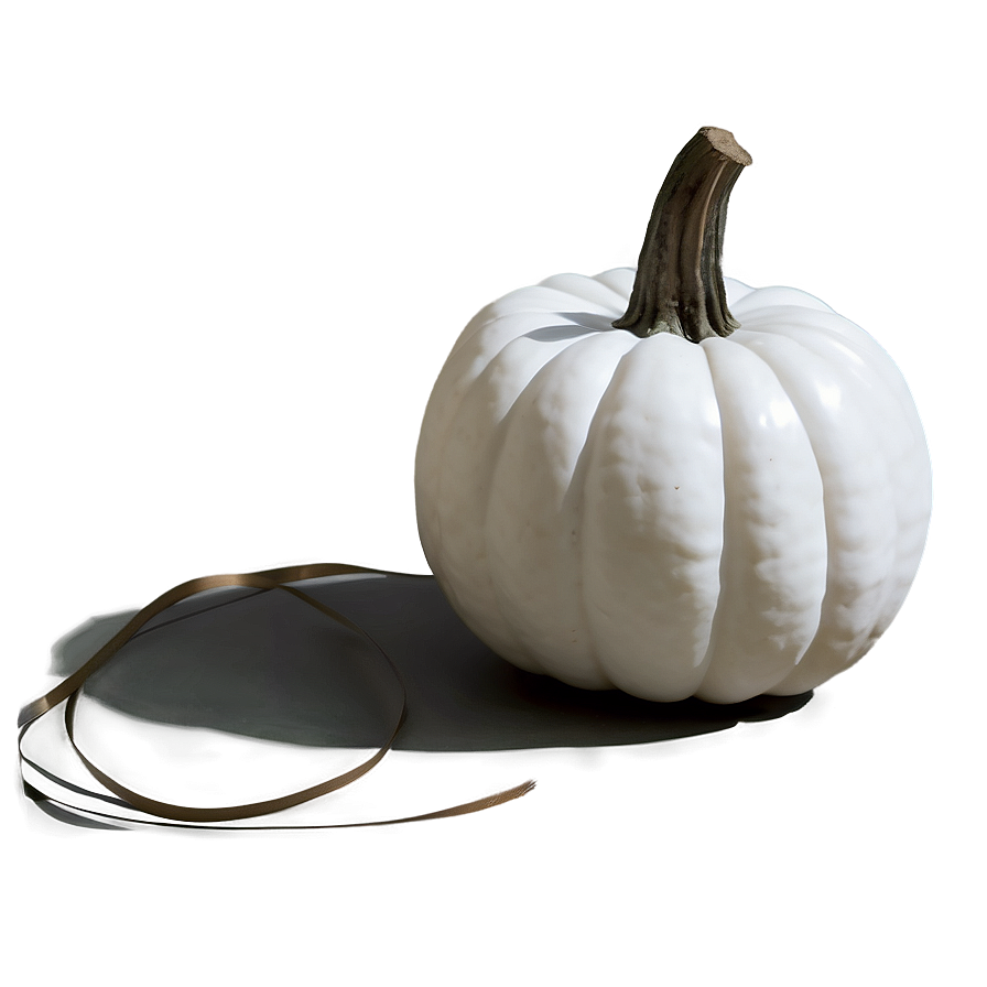 Fall Decor White Pumpkin Png Qil