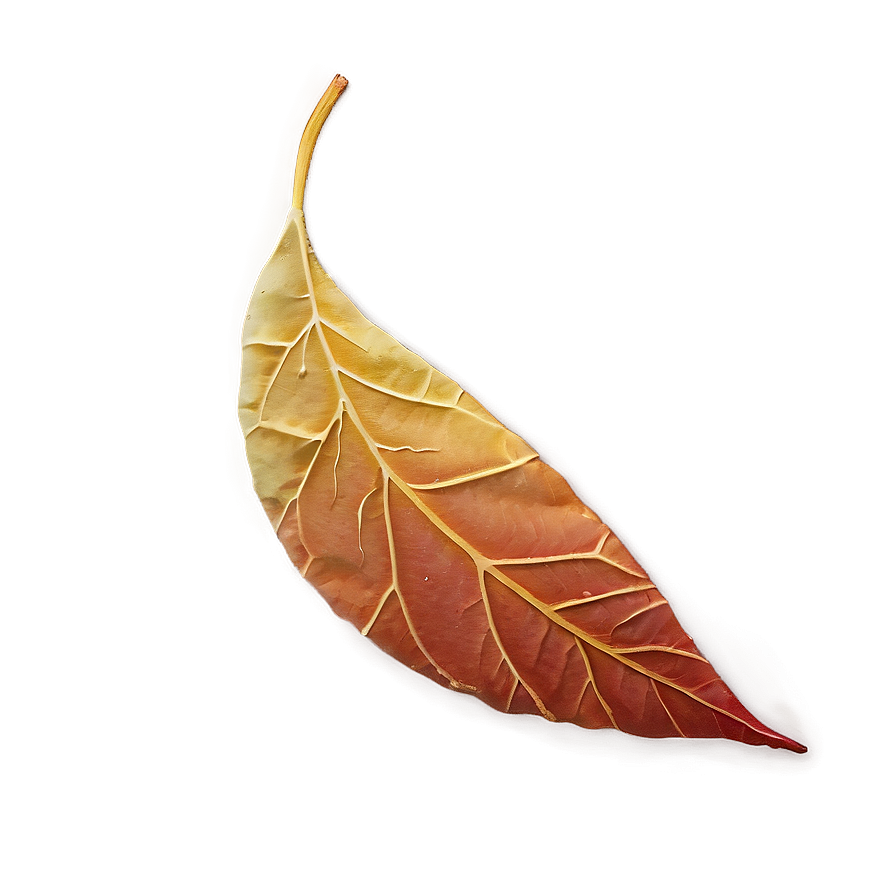 Fall Leaf Background Png Dfu25