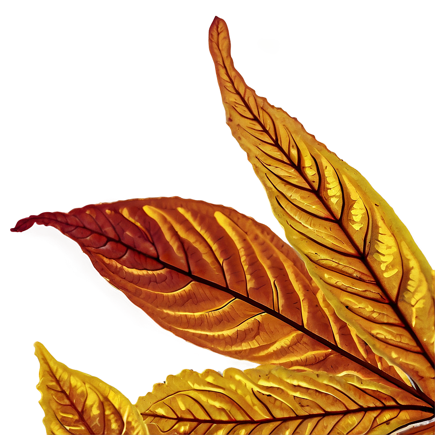 Fall Leaf Close-up Png Dsj