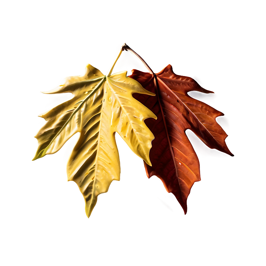 Fall Leaf Drop Png 16