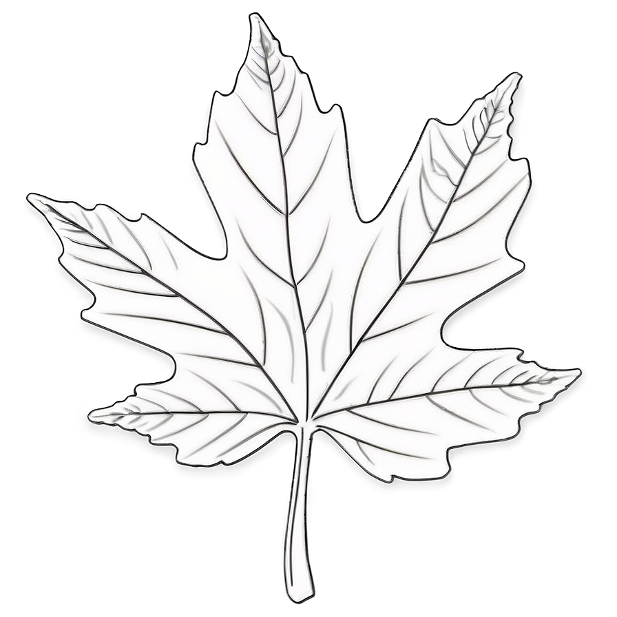 Fall Leaf Outline Png Ldk46