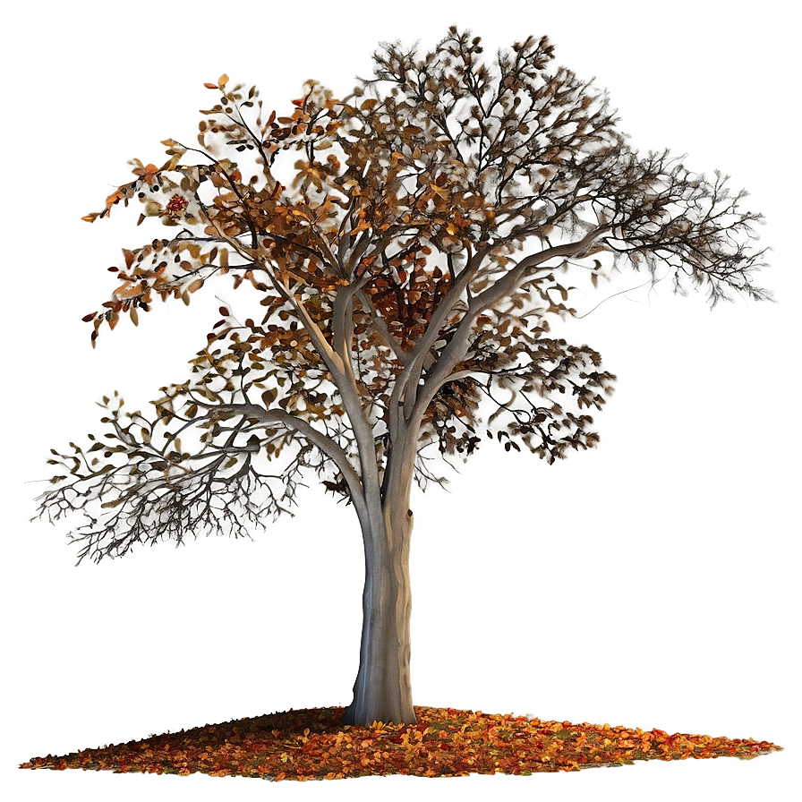 Fall Trees Landscape Png 06212024