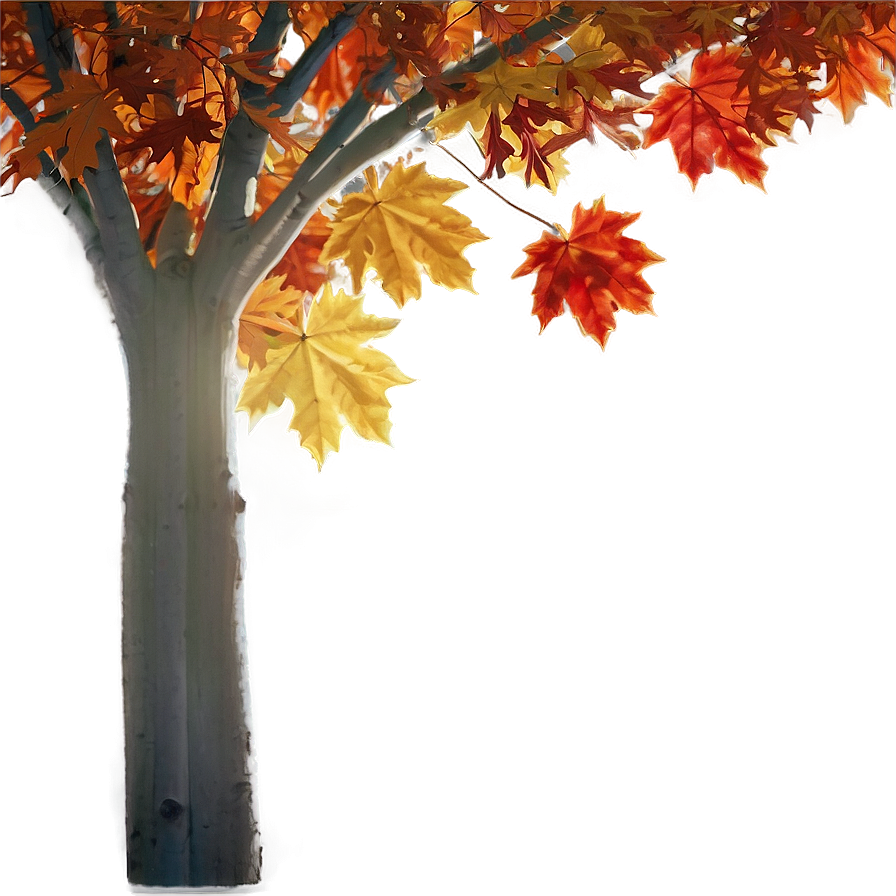 Fall Trees With Sunbeams Png Xfe