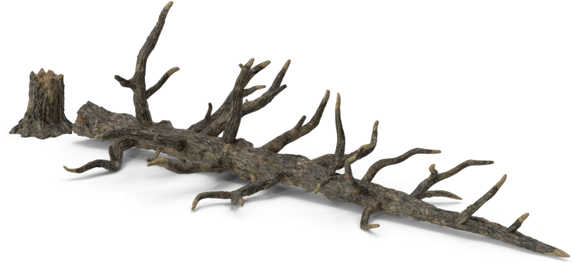 Fallen_ Dead_ Tree_3 D_ Render