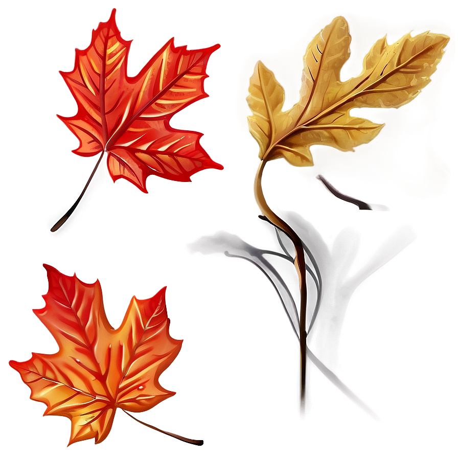 Fallen Leaves Png 54