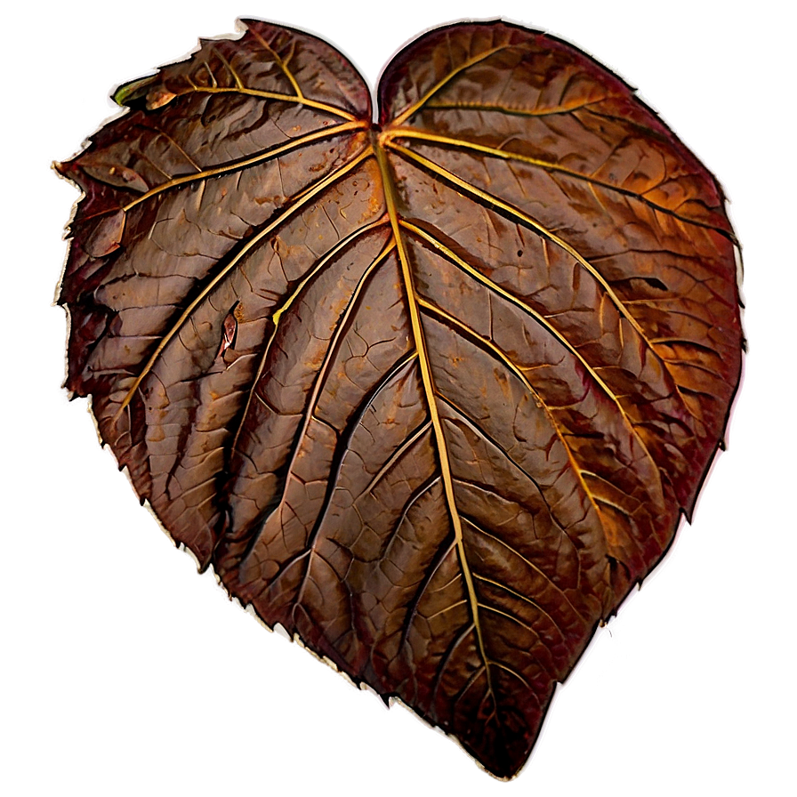 Fallen Leaves Png Tfe15