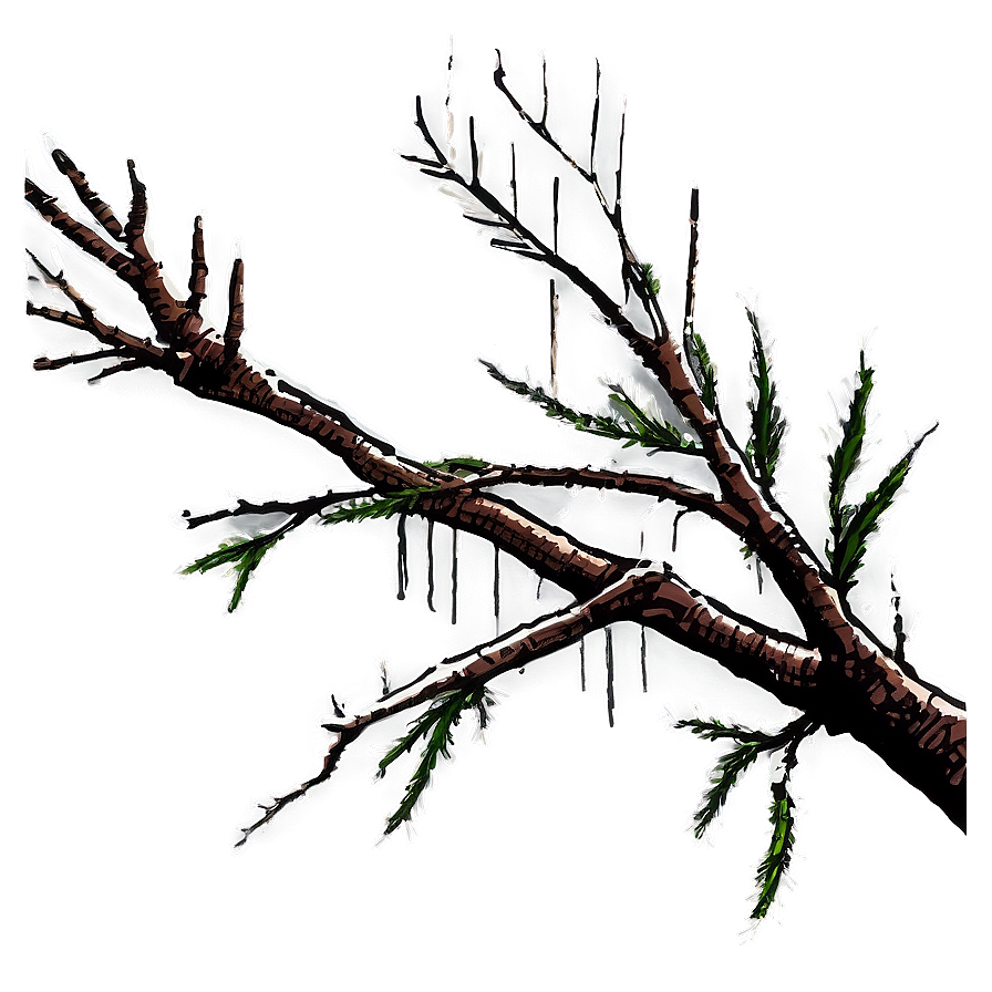 Falling Tree Branch Png 26