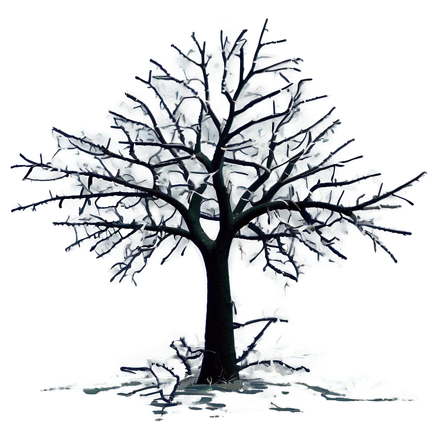 Falling Tree Branches Png 06282024