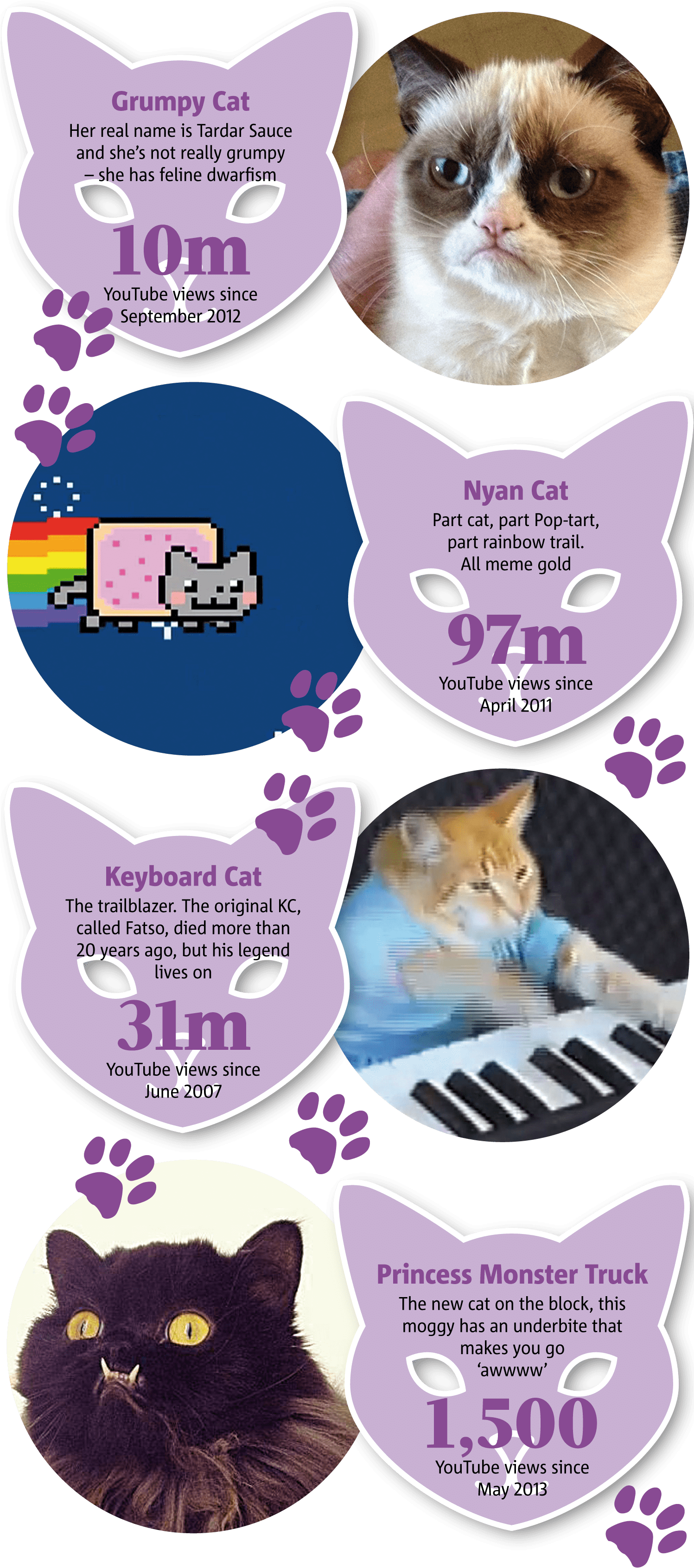 Famous Internet Cats Meme Infographic