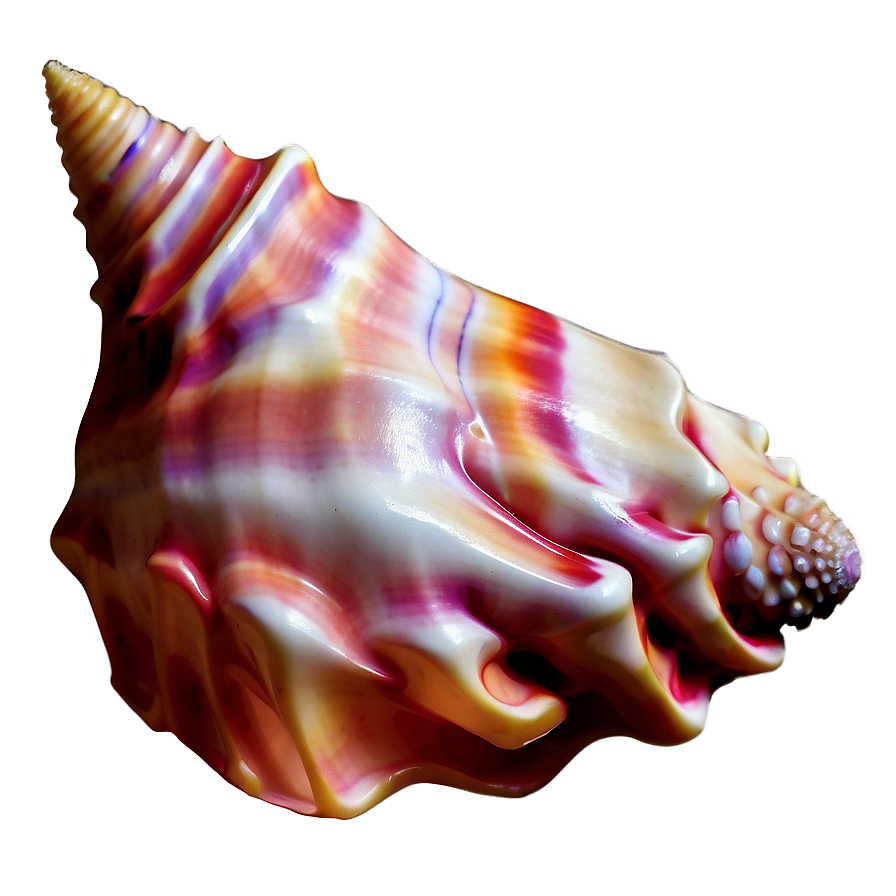 Fantasy Conch Shell Magic Png Bfg28