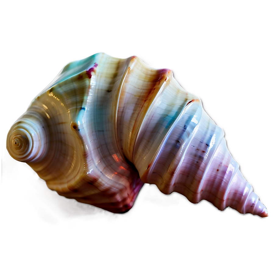 Fantasy Conch Shell Magic Png Lip99