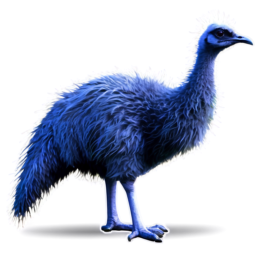 Fantasy Emu Png 22