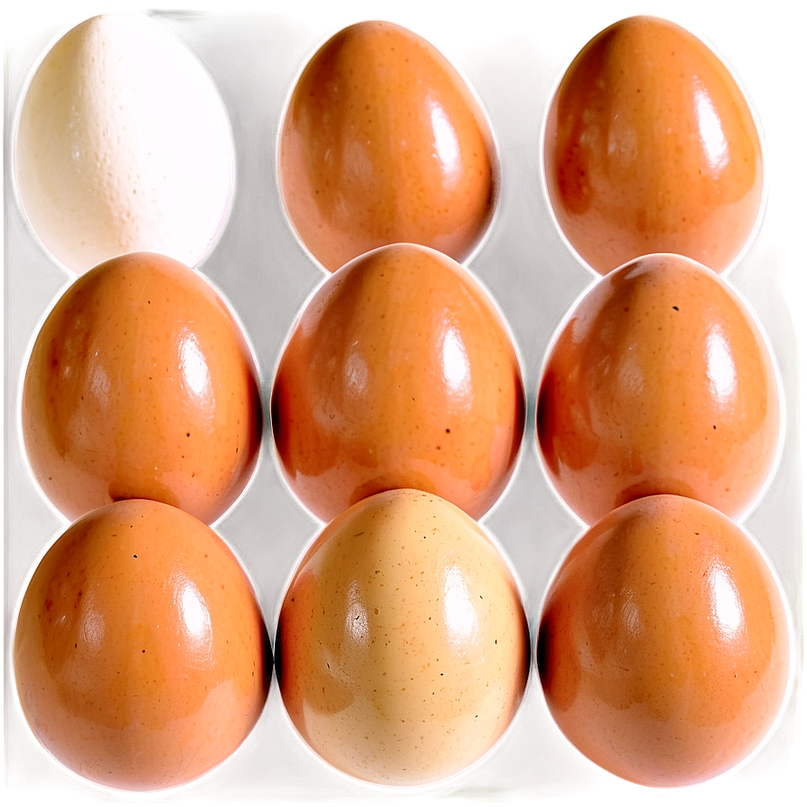 Farm Fresh Eggs Png Qts