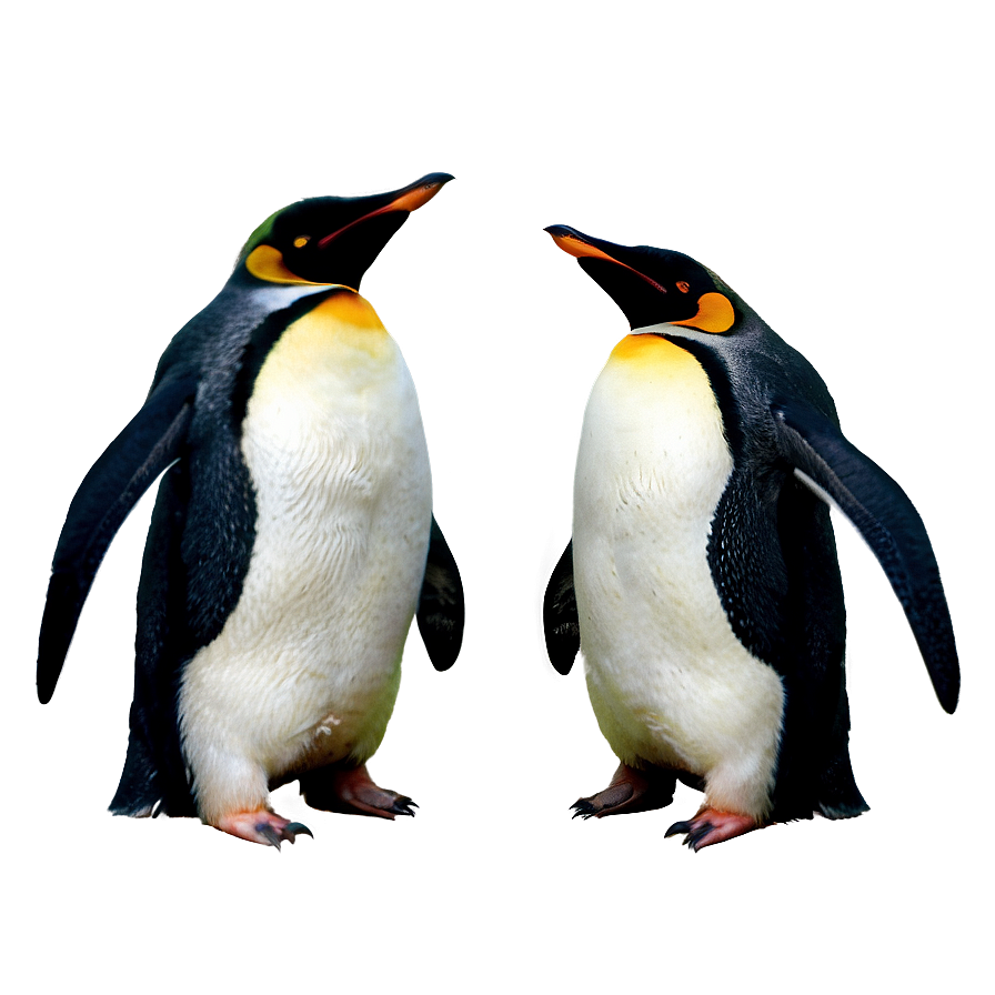 Fashionable Penguin Png 69