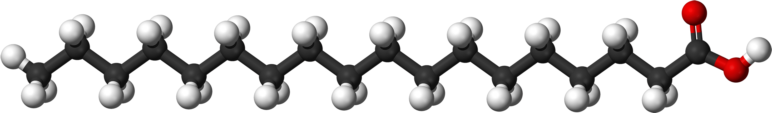 Fatty Acid Molecule Structure