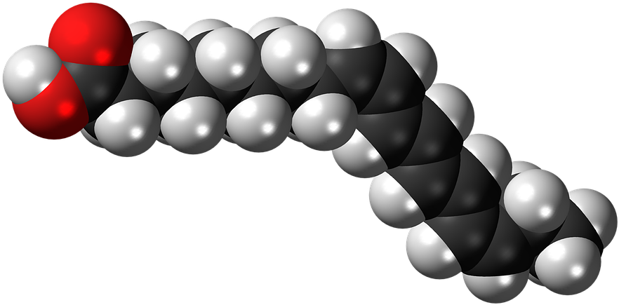 Fatty Acid Molecule3 D Model