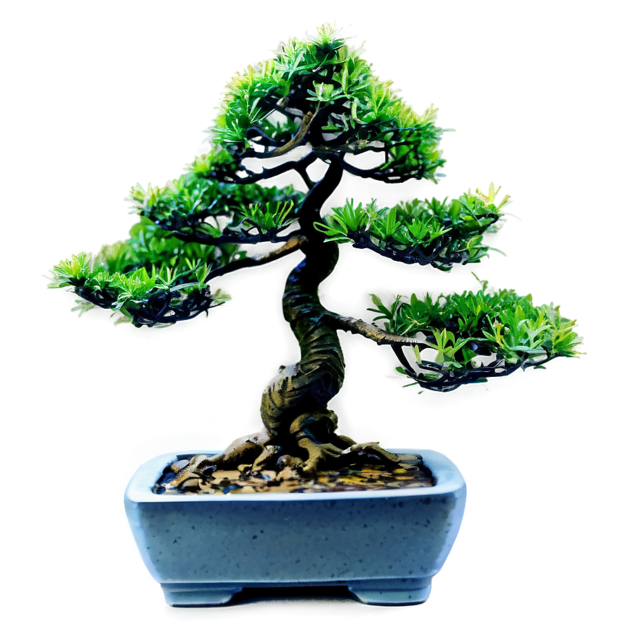 Faux Bonsai Tree Png 77