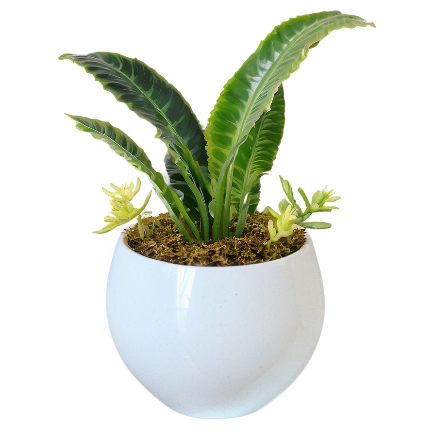 Faux Plant Centerpiece Png 34