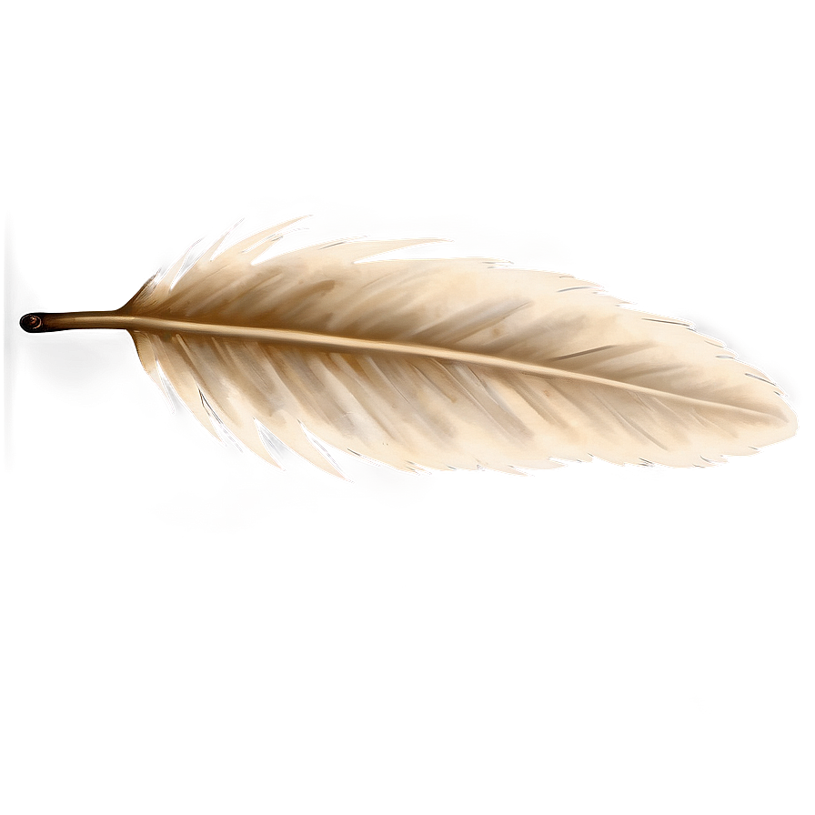 Feather On Vintage Paper Png Xxy