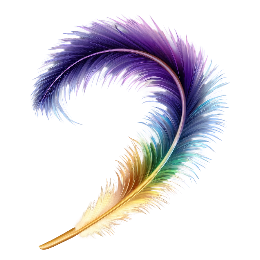 Feather Plume Decoration Png Llo