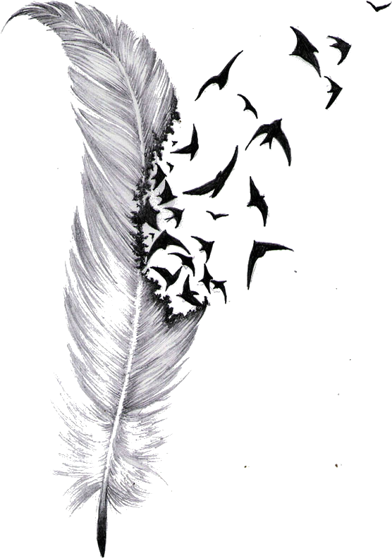 Feather Transforming Into Birds Artwork