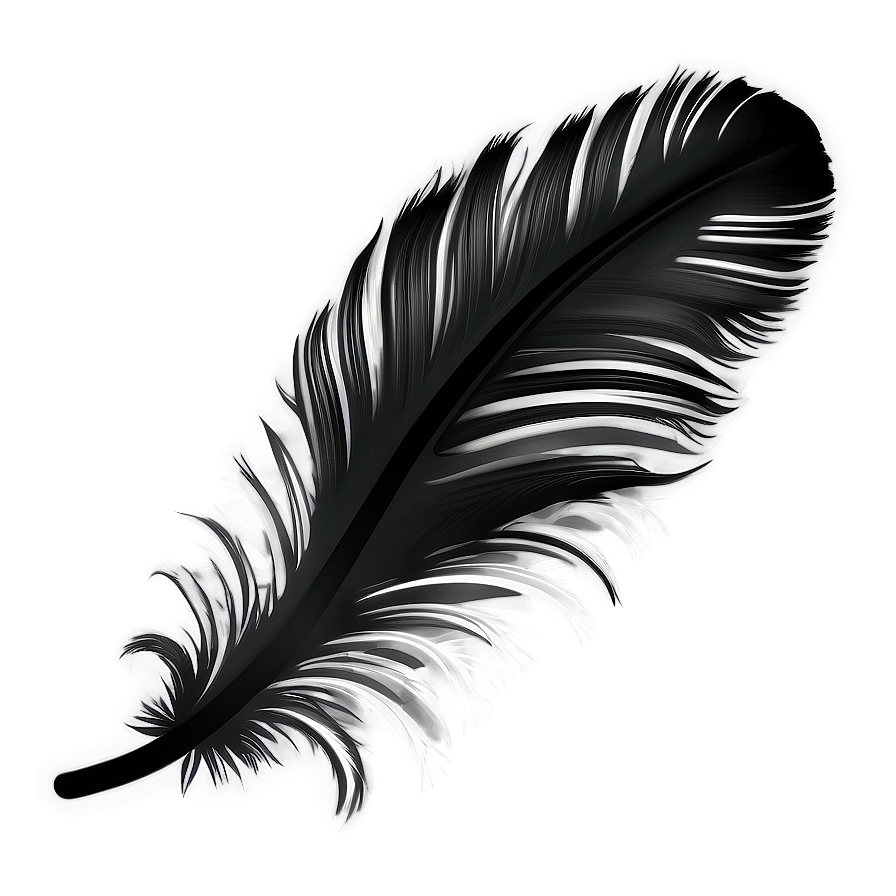 Feather Transparent Background Png 7