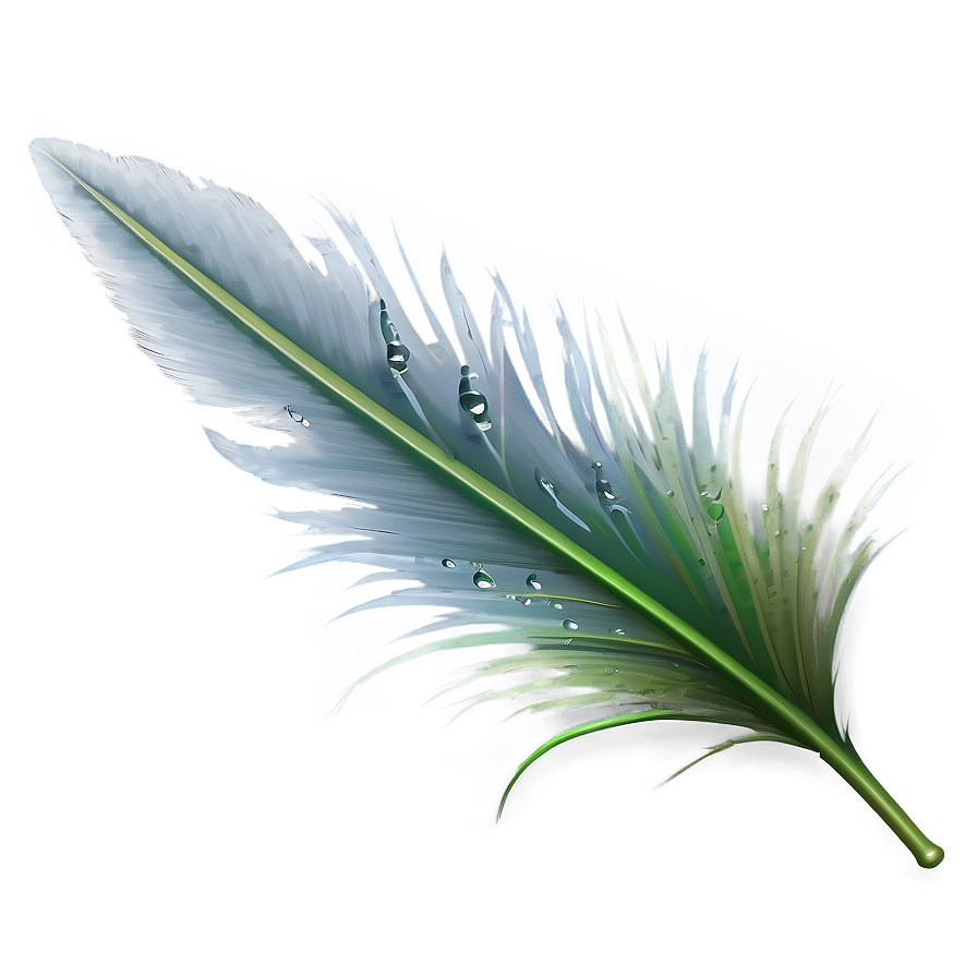 Feather With Dew Drops Png Amm36