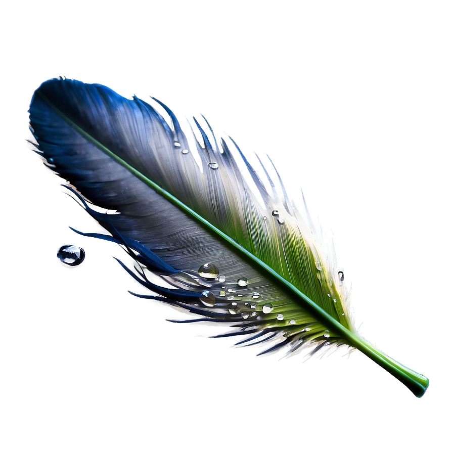 Feather With Dew Drops Png Vep12