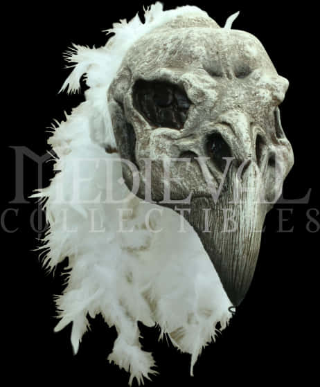 Feathered Skull Artifact