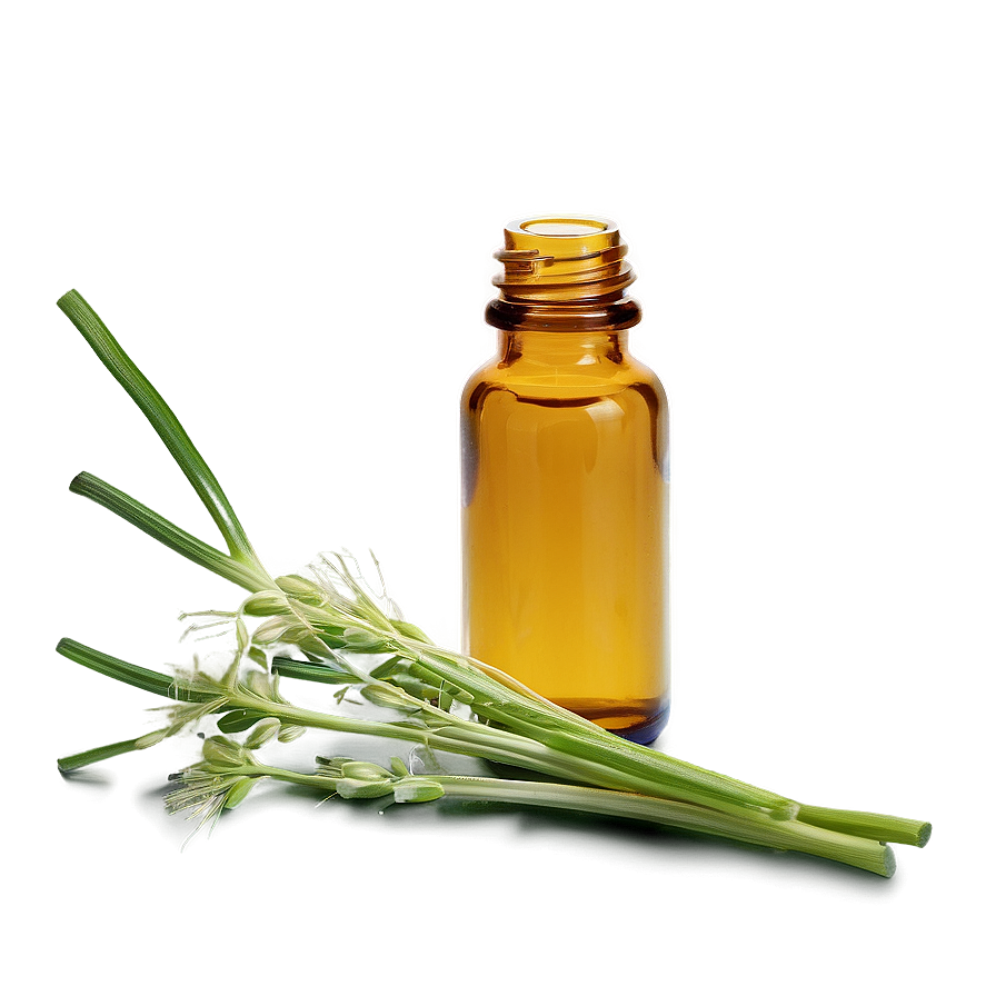 Fennel Essential Oil Png Wti