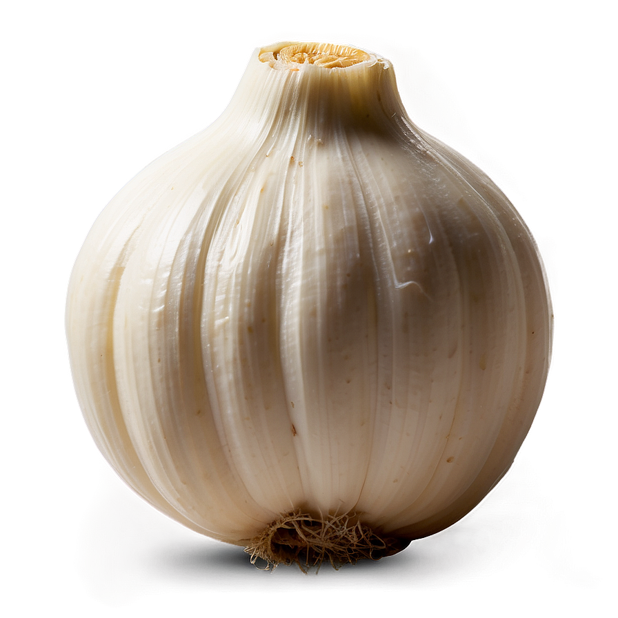 Fermented Garlic Png 05242024