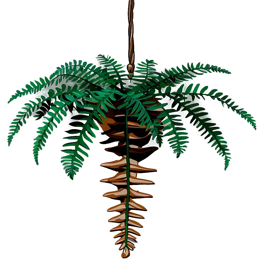 Fern Hanging Plant Png Hpo