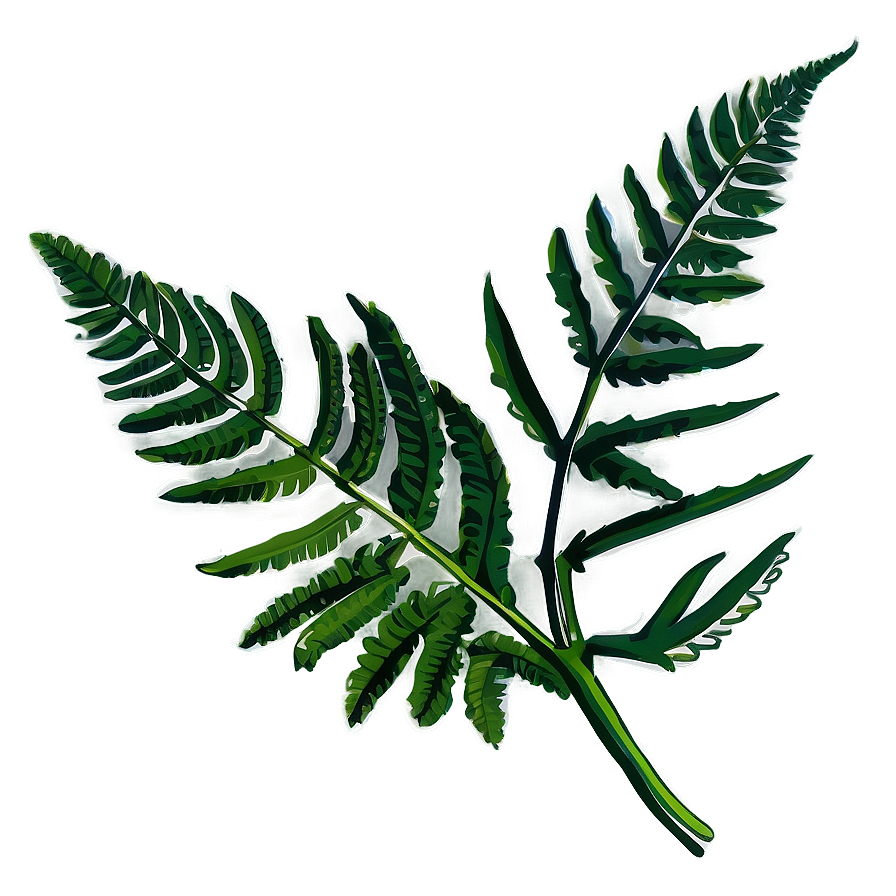 Fern Leaf Botanical Print Png 06282024